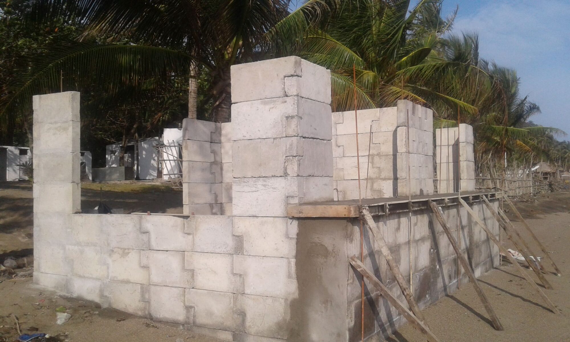 Infrastructure Development and Public Sector Applications